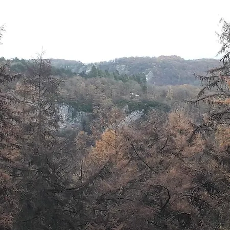 Un Loft Perche Dans Les Bois