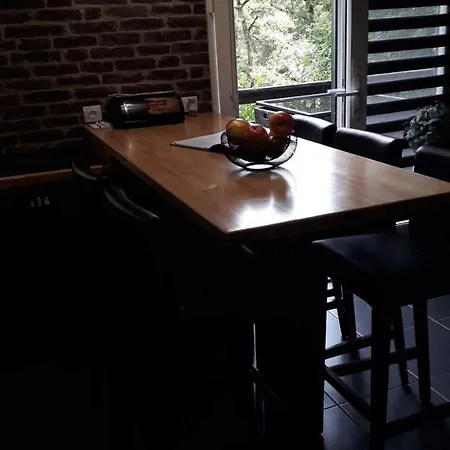 Un Loft Perche Dans Les Bois